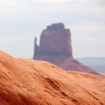 Foto del profilo di Stefano Migliazza