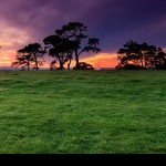 Foto del profilo di Vito Saverio De Bellis