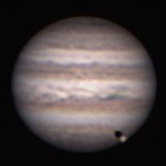 Foto del profilo di danilo maddalon