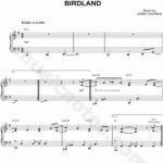 Foto del profilo di Sergio Grossini