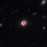 Foto del profilo di Domenico Alfano