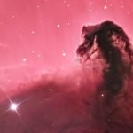 Foto del profilo di Massimiliano Giaracca