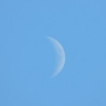 Foto del profilo di Giovanni Marabini