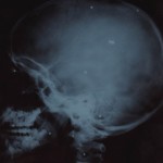 Foto del profilo di Andrea Bolzonetti