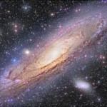 Foto del profilo di Michele Mazzanti