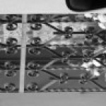 Foto del profilo di Federico Ciacci