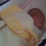 Foto del profilo di beppe pisicchio