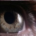 Foto del profilo di Guy Andronik