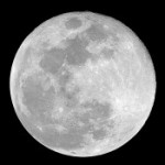 Foto del profilo di Dario Luci