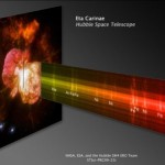 Foto del profilo di Elio Portente