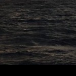 Foto del profilo di Menico Piccininni