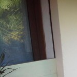 Foto del profilo di gino parmeggiani