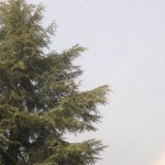 Foto del profilo di lallemand dominique