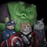 Foto del profilo di Giulia Tortorelli