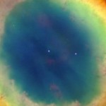 Foto del profilo di masala marco