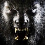 Foto del profilo di Aurelio Conte