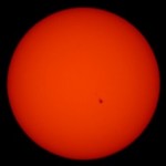 Foto del profilo di stefano dividus