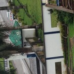 Foto del profilo di kelly chase