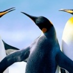 Foto del profilo di andrea maccari