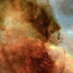 Foto del profilo di Umberto Mascia