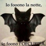 Foto del profilo di Sergio Baldinelli