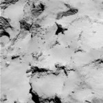 Foto del profilo di Leonardo Tripodi