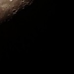 Foto del profilo di Elena mancini