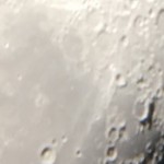 Foto del profilo di Elena mancini