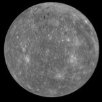 Foto del profilo di paola cecconi