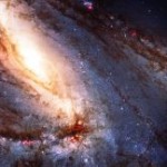 Foto del profilo di Damir Sindik