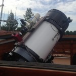 Foto del profilo di vito tinella