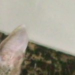 Foto del profilo di forno daniele