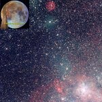 Foto del profilo di Mauro  Bonuccelli