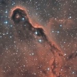 Foto del profilo di Simon Hancock