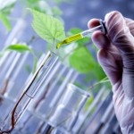 Foto del profilo di Beniamino Guzzo