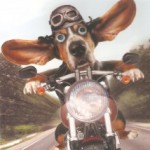 Foto del profilo di Vittorio Bettini