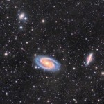 Foto del profilo di Marco Formenton