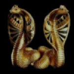 Foto del profilo di Roberto Vendoni Capitani