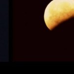 Foto del profilo di Massimiliano Bossi