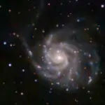 Foto del profilo di Franco Vinotti