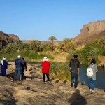 Foto del profilo di MAHAMOUD