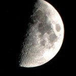 Foto del profilo di Laura Finestauri