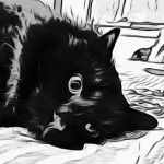 Foto del profilo di Nicola Costantino Baldari