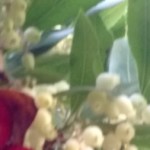 Foto del profilo di Fabio Bredolo