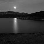 Foto del profilo di Osvaldo Uccheddu