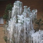 Foto del profilo di roberto di santo