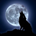 Foto del profilo di Mirko Gusmaroli