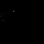 Foto del profilo di Emiliano Bertini