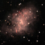 Foto del profilo di riccardo1