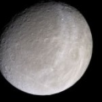 Foto del profilo di Liana Grasso